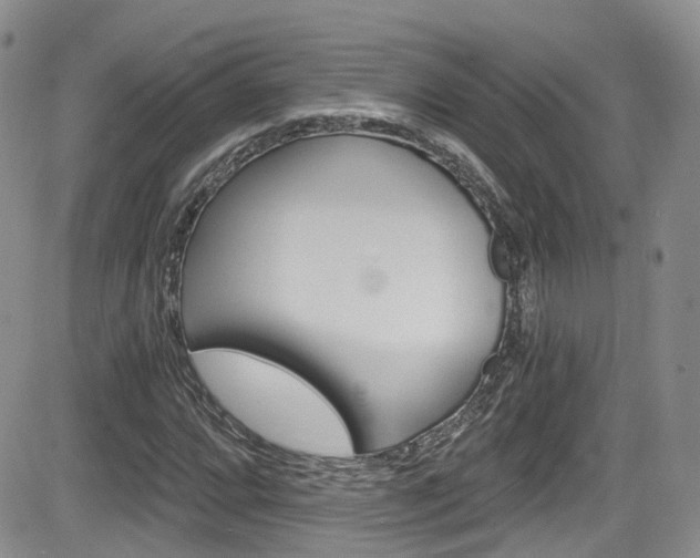 X0000084531064200702230832