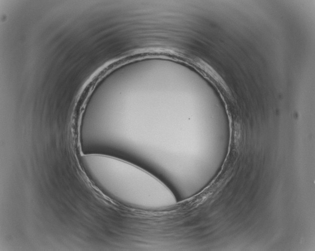 X0000084531068200702230832
