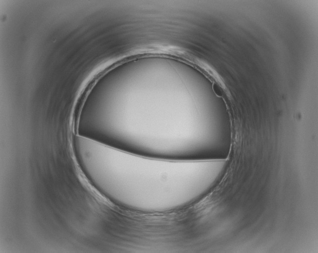 X0000084531080200702230832