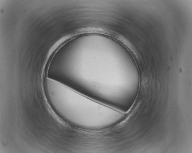 X0000084531082200702230832