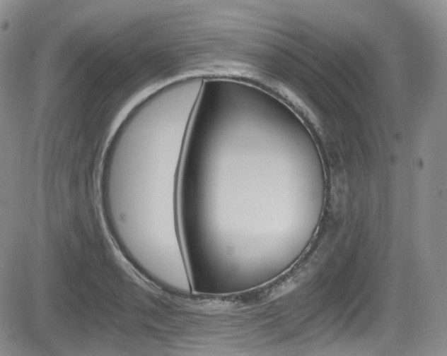 X0000084531085200702230832