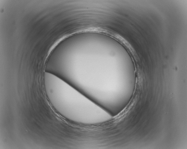 X0000084531097200702230832