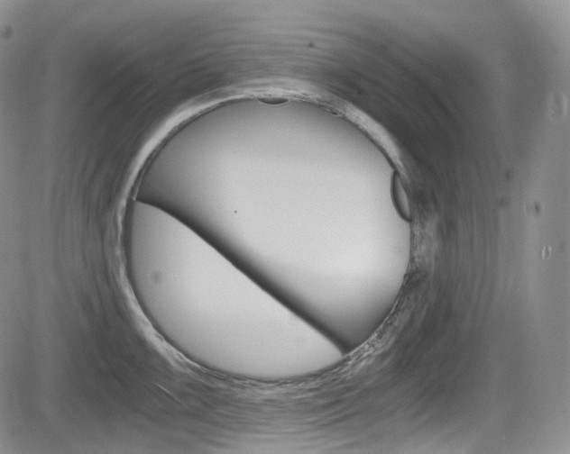 X0000084531099200702230832