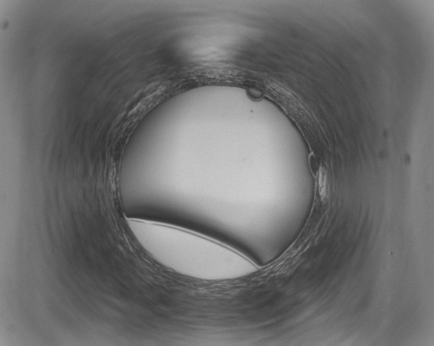 X0000084531107200702230831