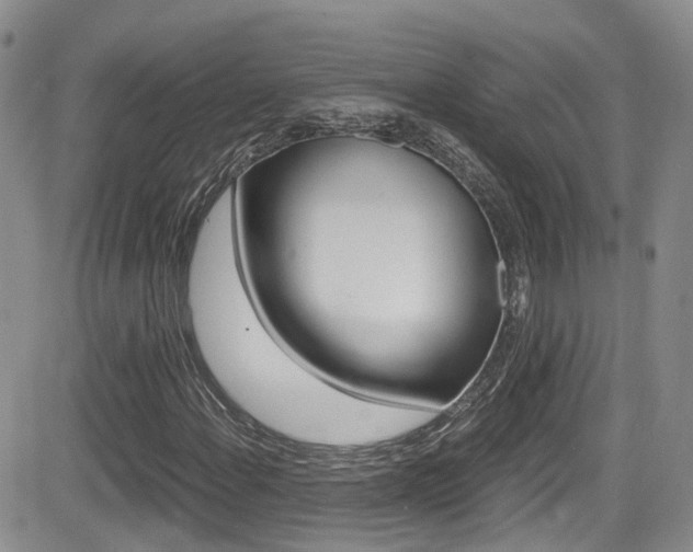 X0000084531108200702230831