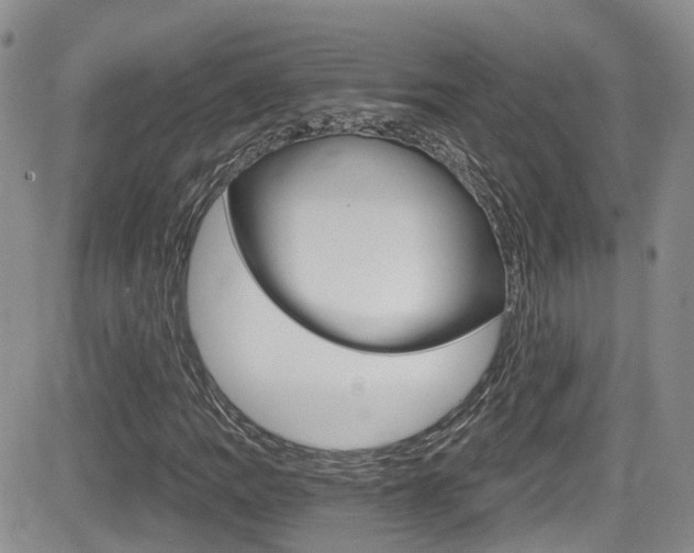 X0000084531109200702230831
