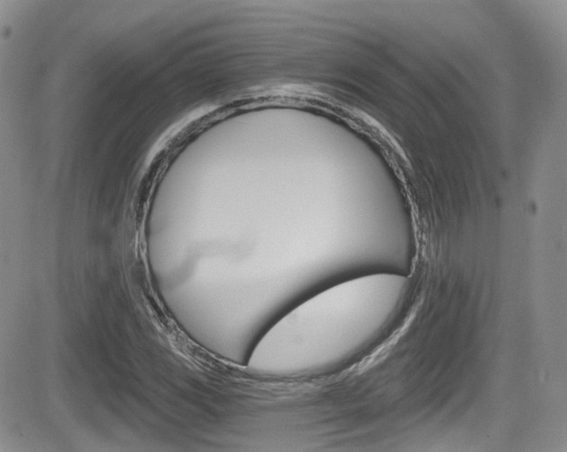 X0000084531117200702230831
