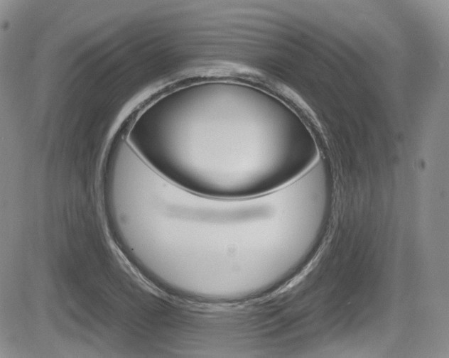 X0000084531122200702230831