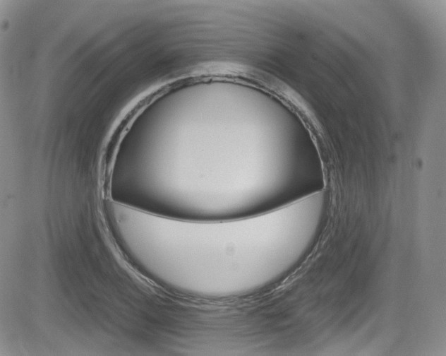 X0000084531124200702230831