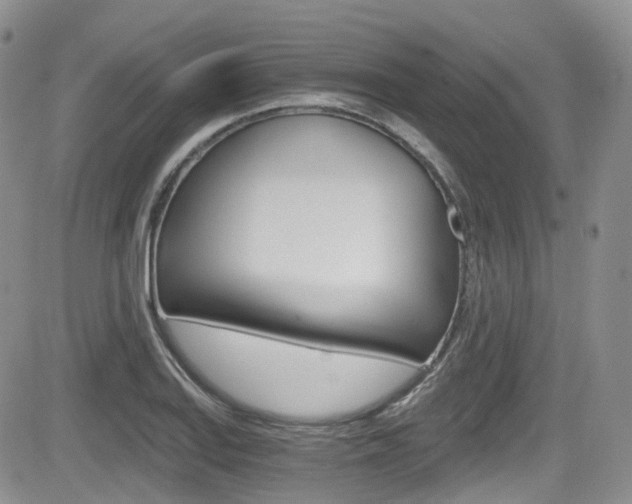 X0000084531127200702230831
