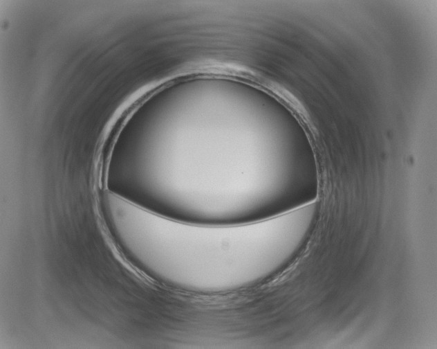 X0000084531128200702230831