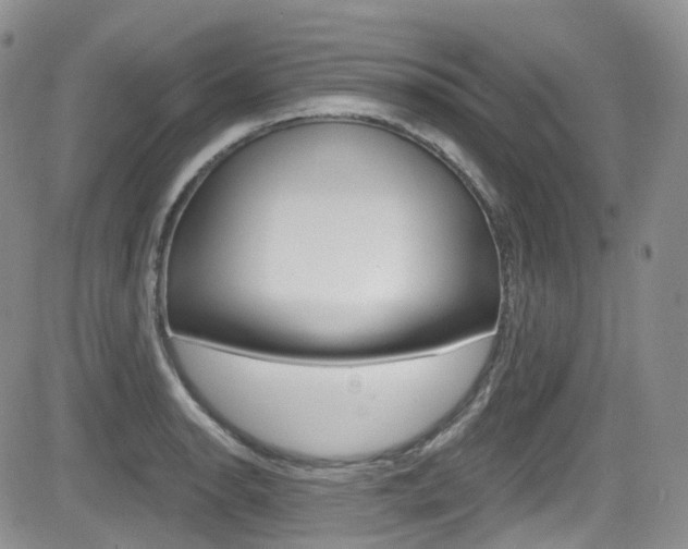 X0000084531134200702230831