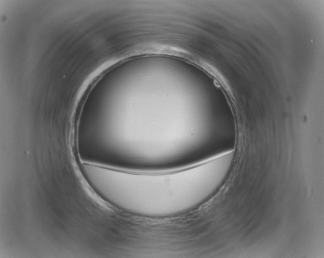 X0000084531136200702230831