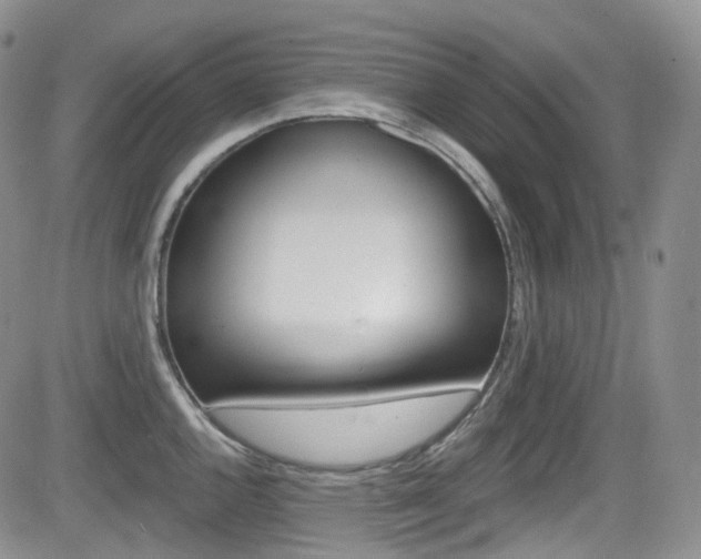 X0000084531144200702230831