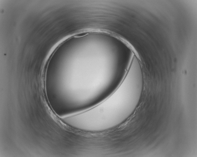 X0000084531148200702230832