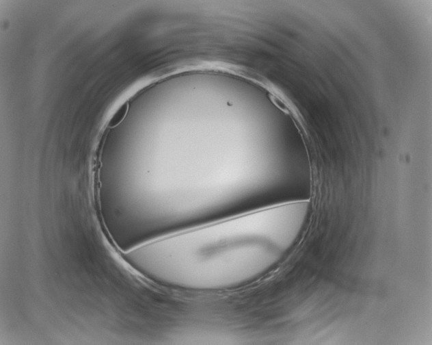 X0000084531151200702230832
