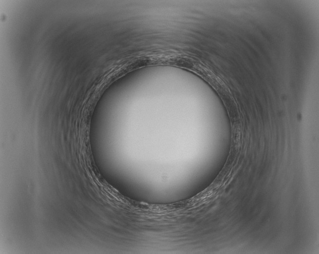 X0000084531153200702230831