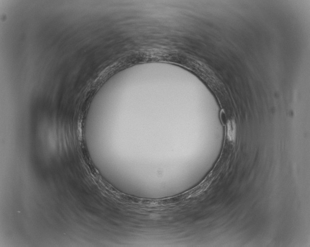 X0000084531155200702230831