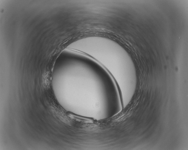 X0000084531156200702230831