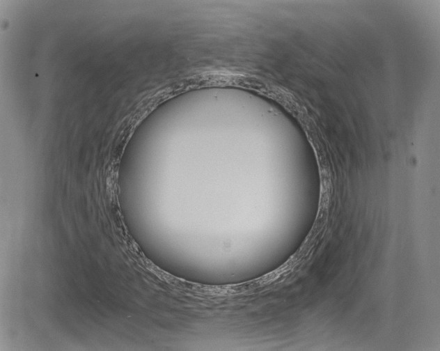 X0000084531157200702230831