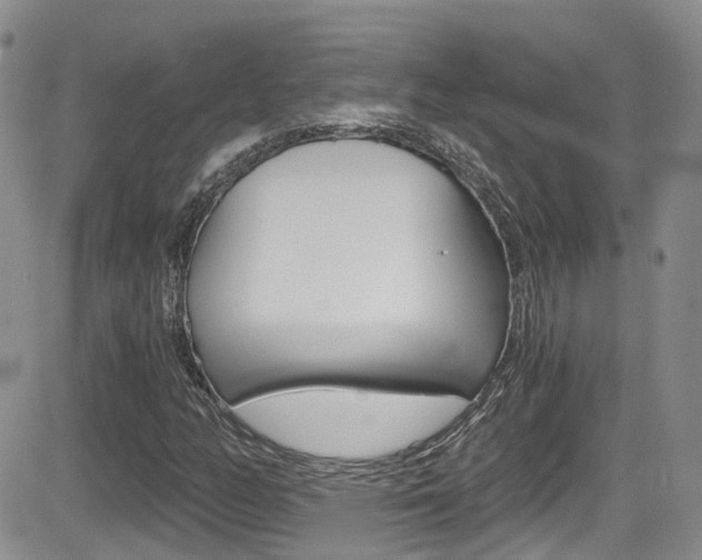 X0000084531158200702230831