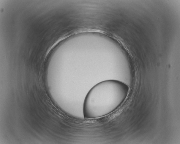X0000084531165200702230831