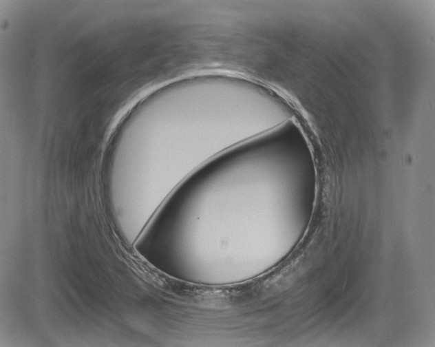 X0000084531167200702230831