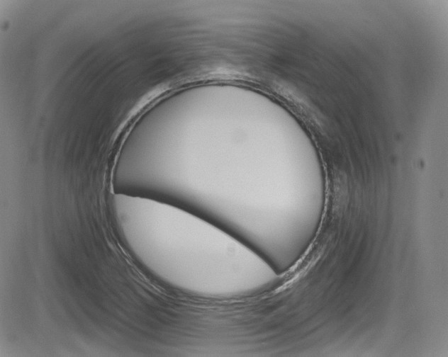 X0000084531170200702230831