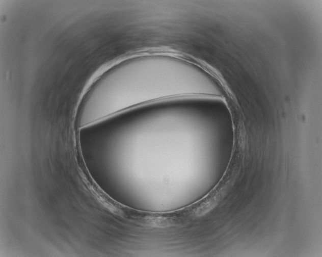 X0000084531176200702230830