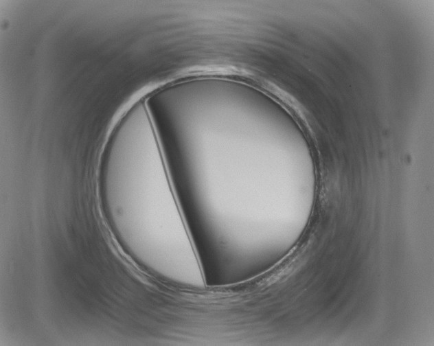 X0000084531179200702230830