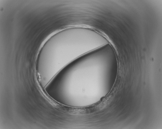 X0000084531187200702230830