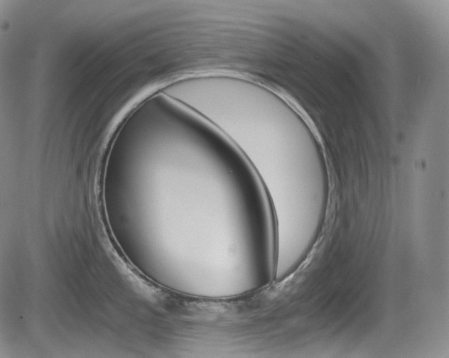 X0000084531197200702230830