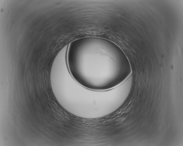 X0000084531202200702230829