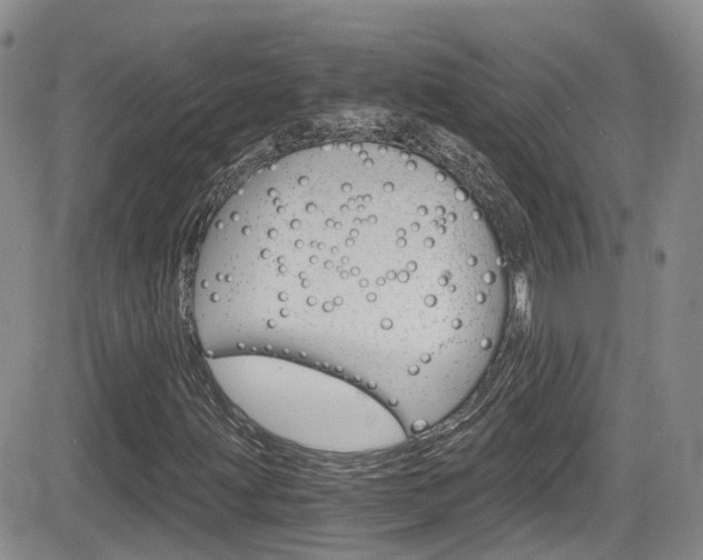 X0000084531203200702230829