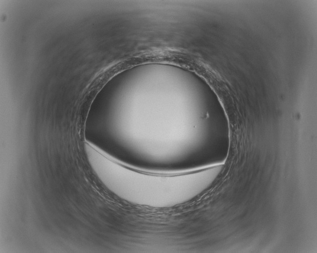 X0000084531206200702230829