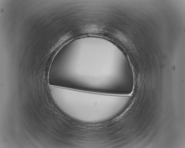 X0000084531209200702230829