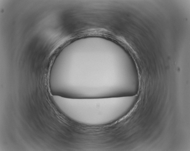 X0000084531211200702230829