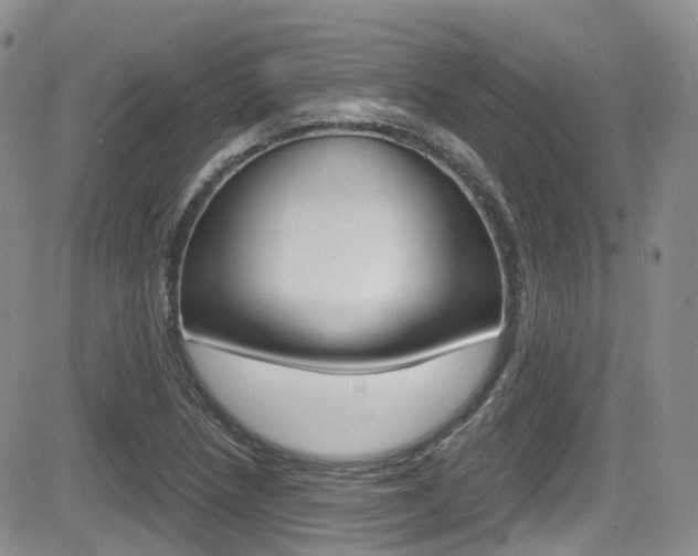 X0000084531218200702230830
