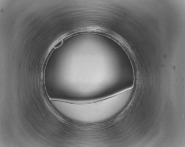 X0000084531234200702230830
