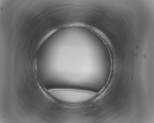 X0000084531241200702230830