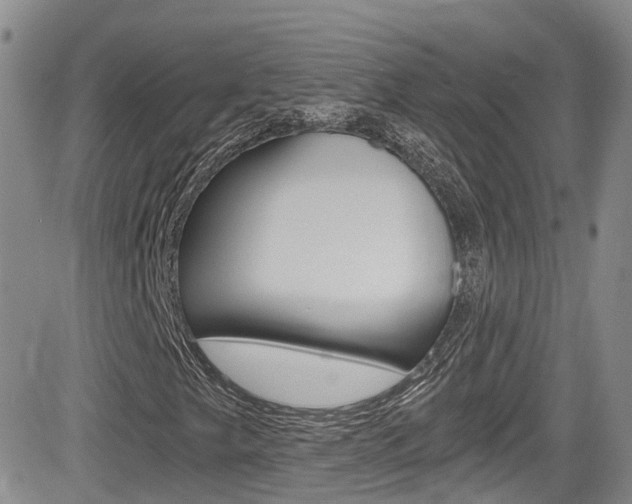 X0000084531249200702230829