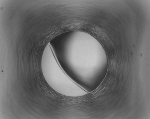 X0000084531250200702230829