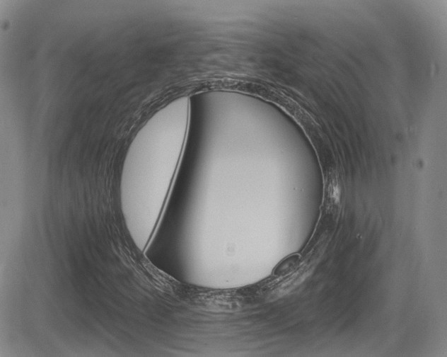 X0000084531252200702230829