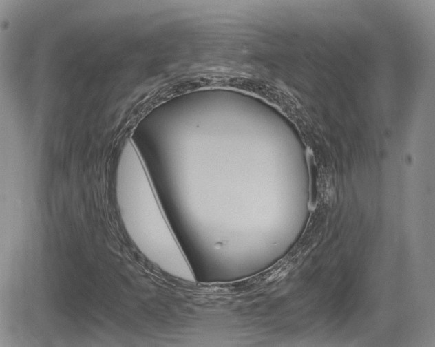 X0000084531253200702230829