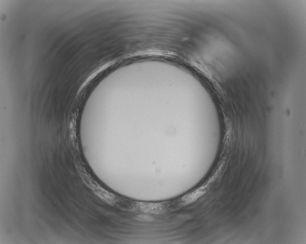 X0000084531258200702230829