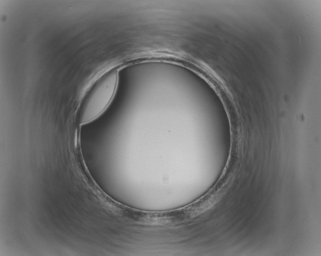 X0000084531269200702230829
