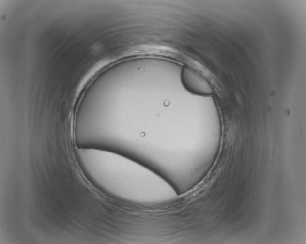 X0000084531275200702230829