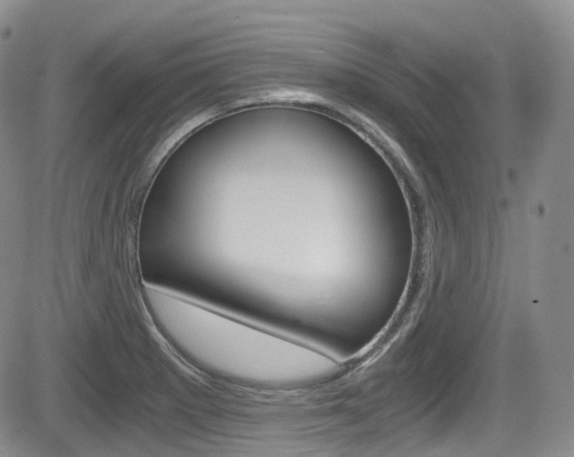 X0000084531281200702230829
