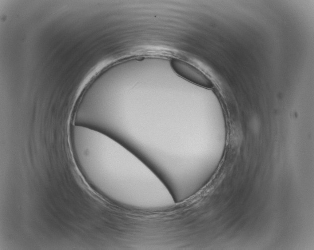 X0000084531283200702230829