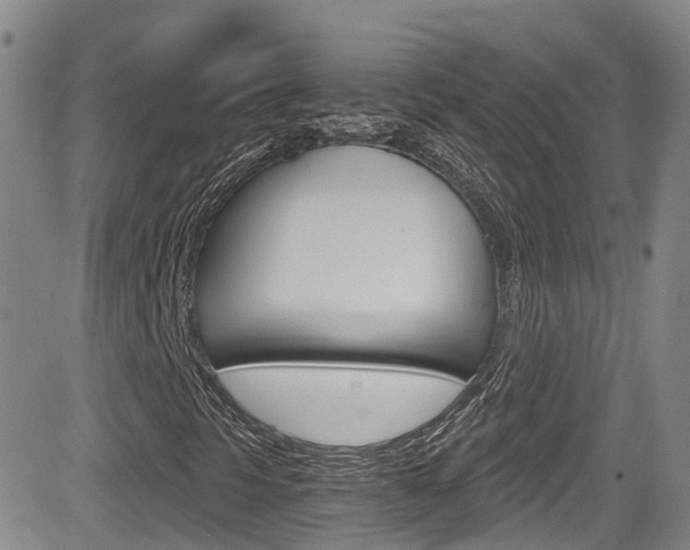 X0000084531297200702230828